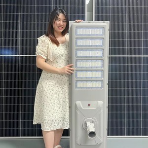 Municipal Engineering Waterproof Integrated Solar Street Light