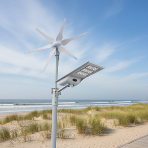 Industrial IP66 Galvanized Hybrid Solar Wind Power Street Light with Vertical Wind Turbine & Lithium Ion Battery